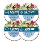 Flea & Tick Collar for Large Dogs – 4 Pack