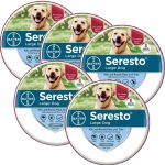 Flea & Tick Collar for Large Dogs – 5 Pack