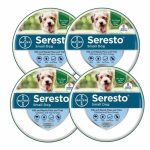 Flea & Tick Collar For Small Dogs – 4 Pack